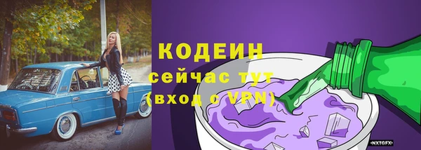 дживик Гусь-Хрустальный