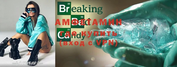 амф Гусев