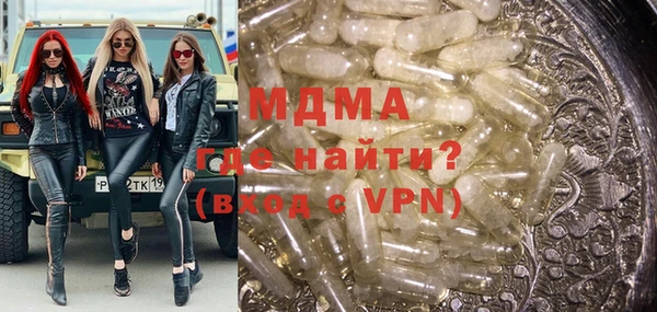 амф Гусев