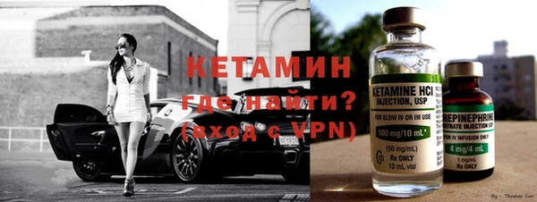 амф Гусев