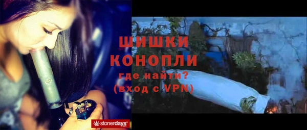дживик Гусь-Хрустальный
