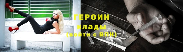 амф Гусев