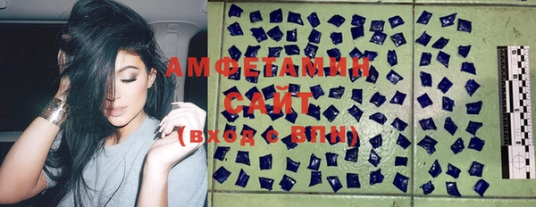 дживик Гусь-Хрустальный
