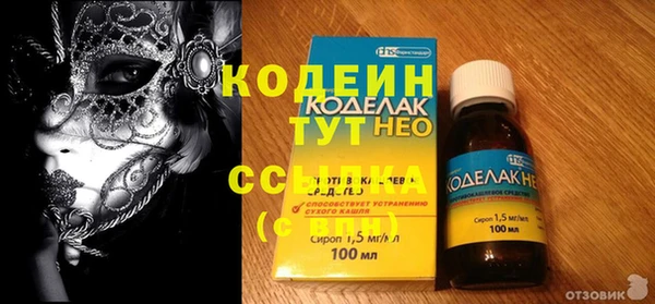амф Гусев
