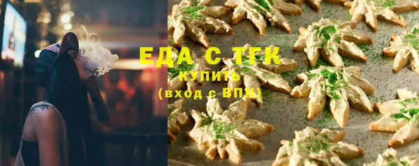 амф Гусев