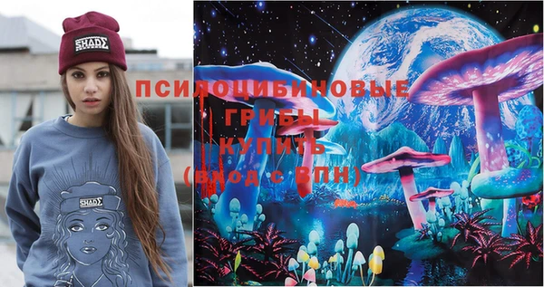 дживик Гусь-Хрустальный
