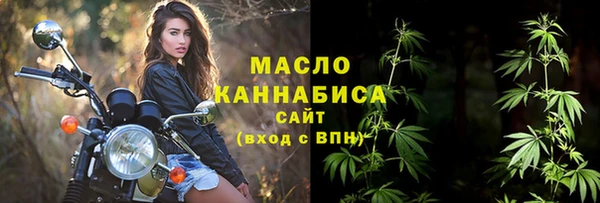 амф Гусев