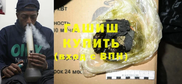 амф Гусев