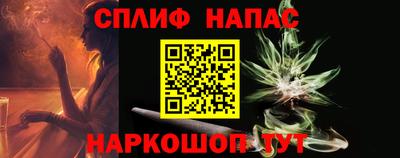 прущие грибы Волгодонск