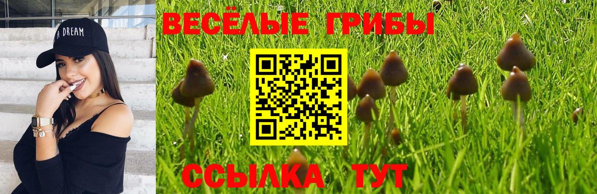 Галлюциногенные грибы мицелий  Гусь-Хрустальный 