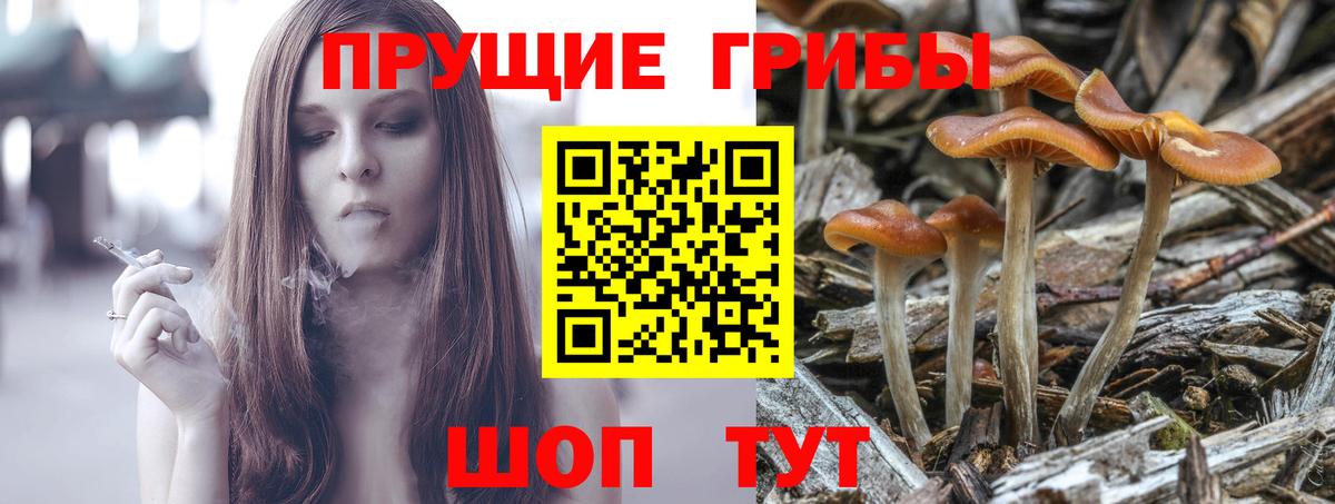 Гусь-Хрустальный  Псилоцибиновые грибы GOLDEN TEACHER  Вход с VPN 