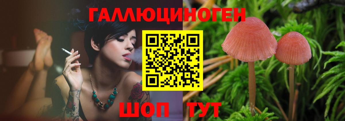 Галлюциногенные грибы мицелий Гусь-Хрустальный